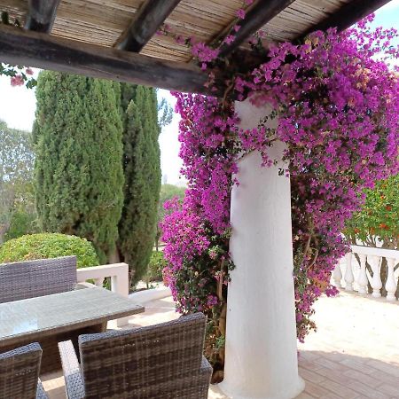 Quinta Do Paraiso - Casa Colynda Карвоейру Екстер'єр фото
